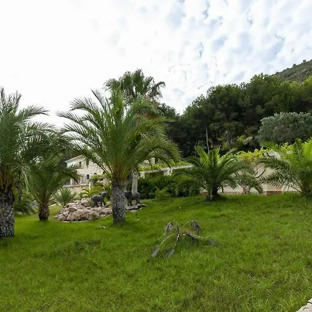 Oasis Deu Cullera